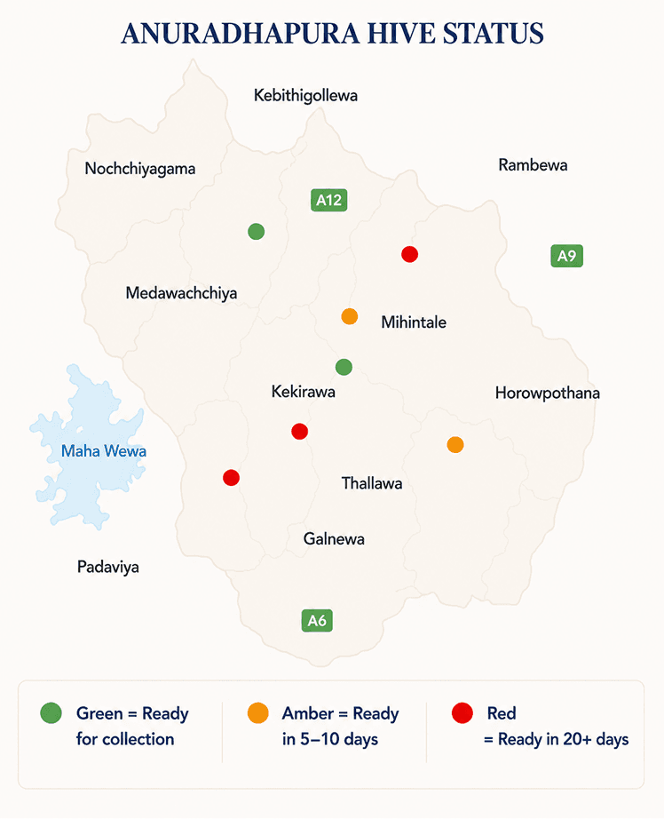 Anuradhapura hive status map showing collection readiness locations