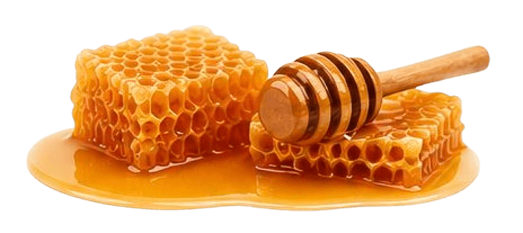 Pure Bee Honey benefits